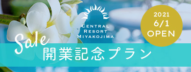 SALE 開業記念プラン