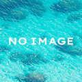 No photo